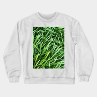 Grass Crewneck Sweatshirt